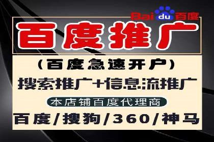 某知名品牌SEM运营策略及效果评估